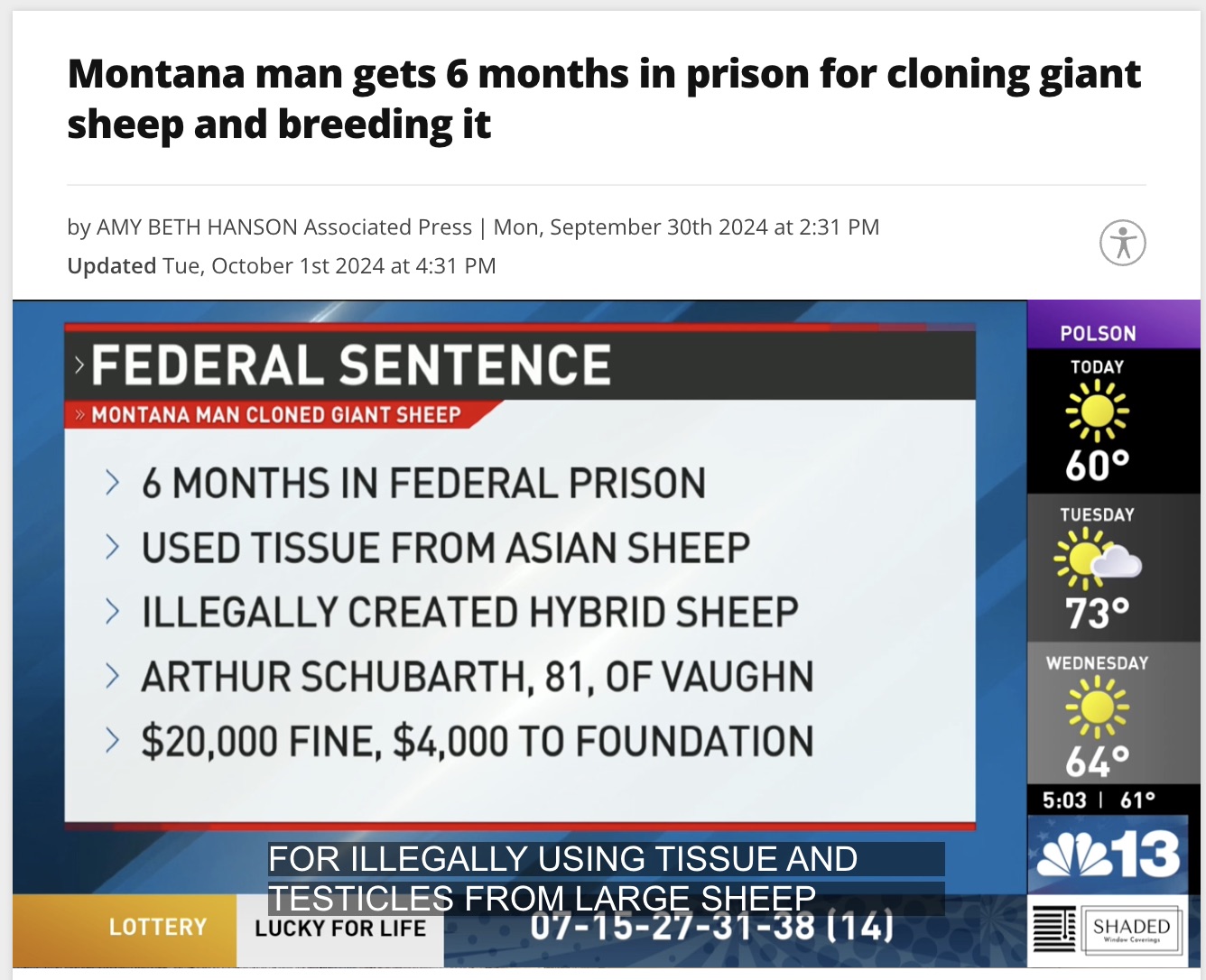 screenshot - Montana man gets 6 months in prison for cloning giant sheep and breeding it by Amy Beth Hanson Associated Press | Mon, September 30th 2024 at Updated Tue, October 1st 2024 at > Federal Sentence >> Montana Man Cloned Giant Sheep > 6 Months In 